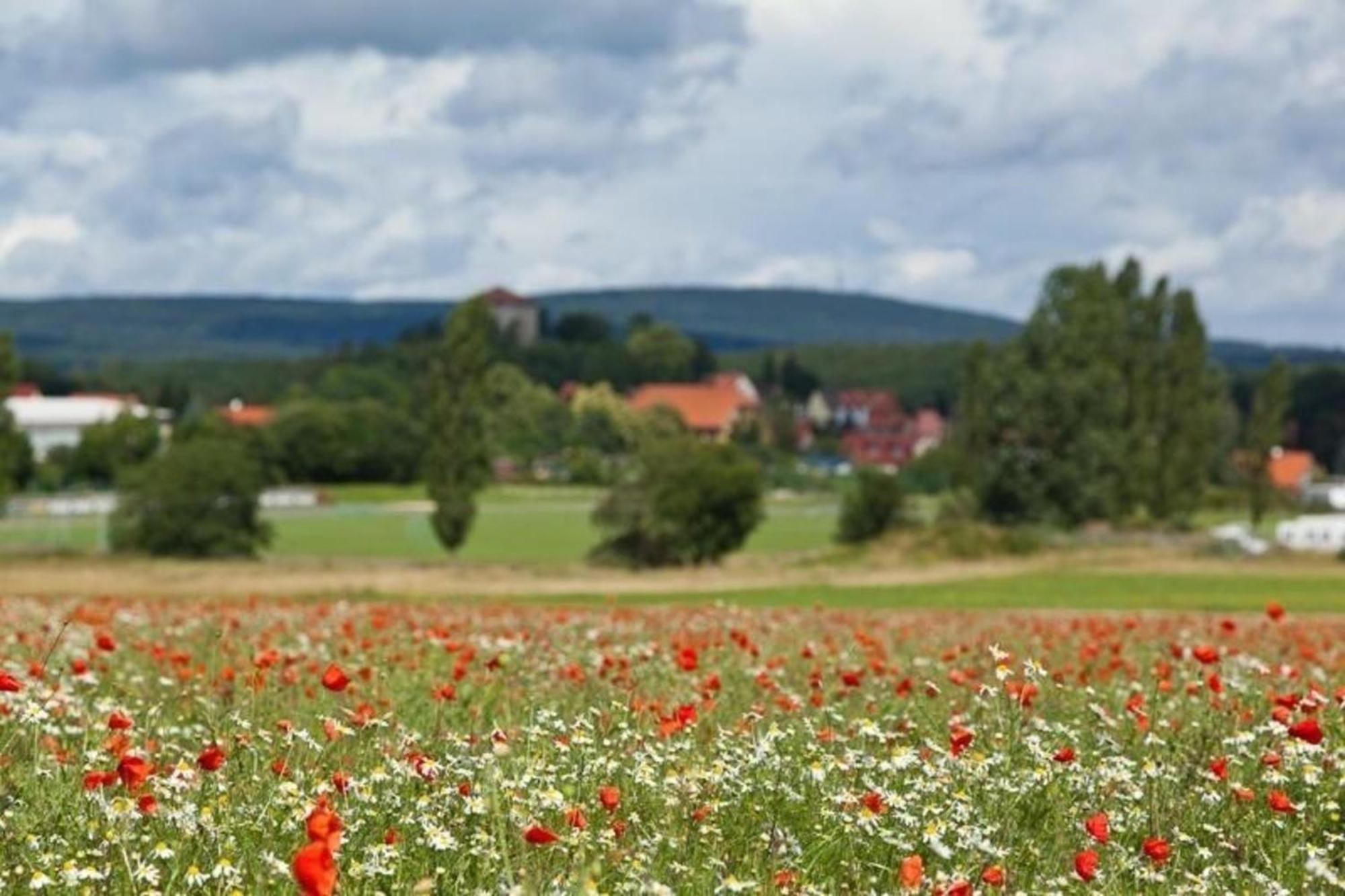 Gaestezimmer In Kleiner Ferienanlage Mit Vielen Freizeitmoeglichkeiten Appartement Harzgerode Buitenkant foto